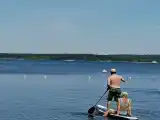 Номер Стандарт