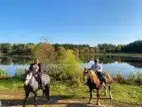 Номер Стандарт