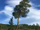 номер