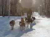 Номер Стандарт