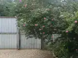 Улучшенный четырехместный номер