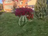 Номер Стандарт