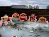Номер Стандарт