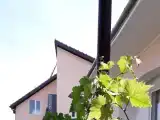 Двухместный номер с 1 кроватью