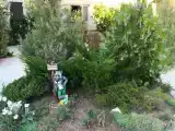 Номер Стандарт