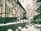 Номер Стандарт