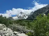 Номер Стандарт