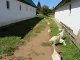 Номер Стандарт