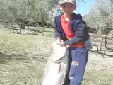 Номер Стандарт