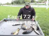 Номер Стандарт
