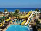 Стандартный номер|1 двуспальная кровать «Квин-сайз»