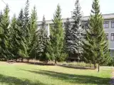 Номер Стандарт