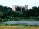 Двухместный однокомнатный стандарт 