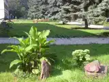 Номер Стандарт