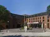 cinnamon mini suite