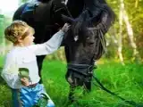 Номер Стандарт