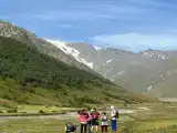 Номер Стандарт