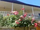 Номер Стандарт
