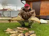 Номер Стандарт
