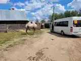 Номер Стандарт