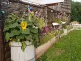 Номер Стандарт