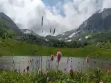 Номер Стандарт
