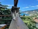 Бюджетный двухместный номер с 1 кроватью