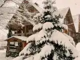 Улучшенный двухместный номер с 1 кроватью или 2 отдельными кроватями