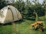 Номер с 2 кроватями размера «queen-size»