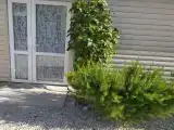 Трехместный номер