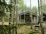 Шале с 2 спальнями