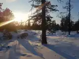 Бюджетный двухместный номер с 2 отдельными кроватями