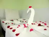 Одноместный номер Standard