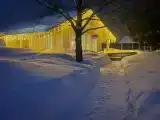 Дом с видом на лес
