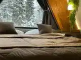 Дом с видом на лес