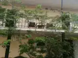 Двухместный номер с 2 отдельными кроватями