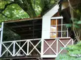 Дом на дереве с видом на лес
