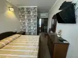 Двухместный номер с 1 кроватью