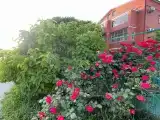 Двухместный номер с 2 отдельными кроватями, вид на сад