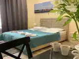 Двухместный номер Делюкс с 1 кроватью или 2 отдельными кроватями
