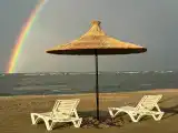 Маленький серый