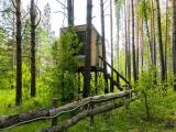 Дом на дереве Рутта (сан.узел в отдельном теплом помещении)