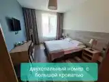 Двухместный номер с 1 кроватью или 2 отдельными кроватями
