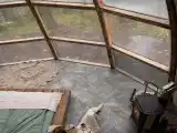 Купол