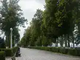 Бюджетный двухместный номер с 2 отдельными кроватями