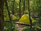 Место под палатку