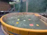Доп. услуги