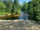 Дом с видом на лес
