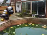 Любовь