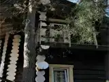 Номер под сосной